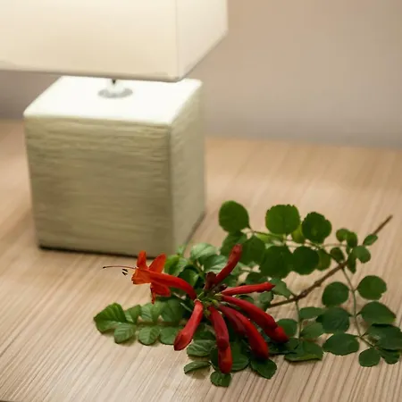 Jasmine Apartment Maleme (Crete)